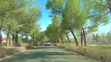 2k拍摄开车行驶在树荫遮蔽的乡野公路上视频的预览图